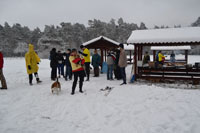 Zdjęcie: DSC_0340.JPG