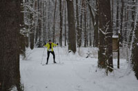 Zdjęcie: DSC_0379.JPG