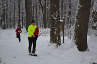 Zdjęcie: DSC_0384.JPG