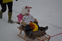 Zdjęcie: DSC_0421.JPG