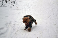 Zdjęcie: DSC_0489.JPG